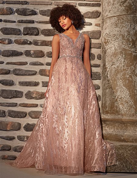Beaded Embroidered Evening Dress Powder