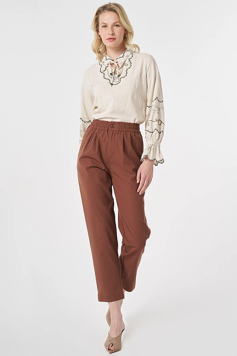Pleated Rayon Pants Brown