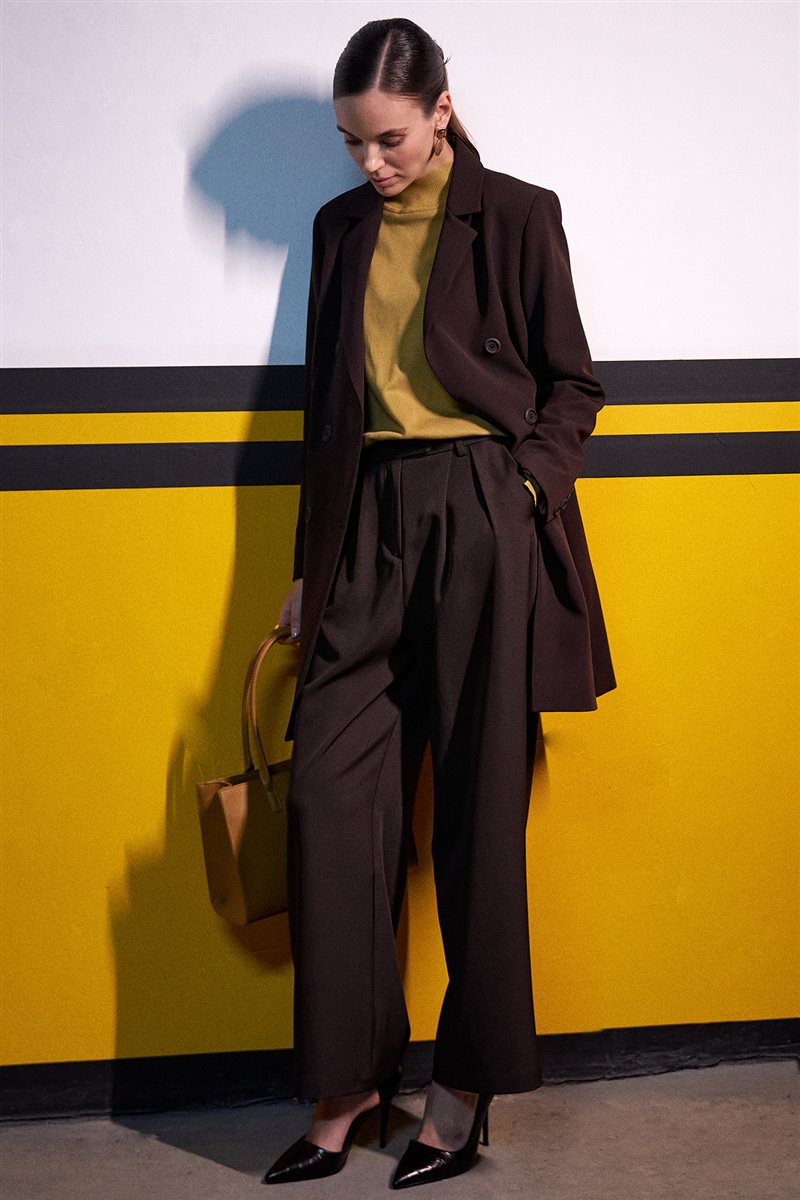 High-Waisted Pleated Pants in Brown