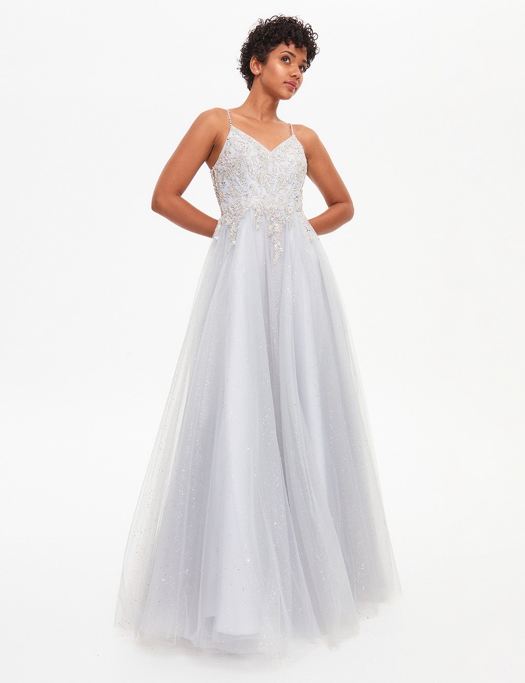 TIARA Sparkling Stone Embroidered Tulle Evening Dress Silver