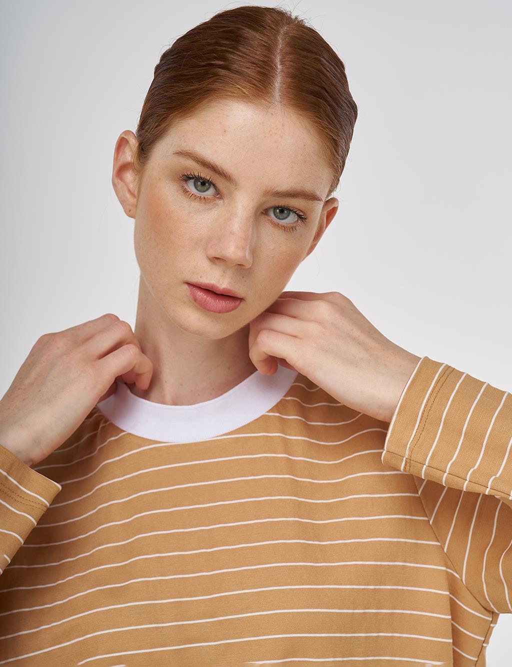 Striped Knit Sweatshirt in Beige